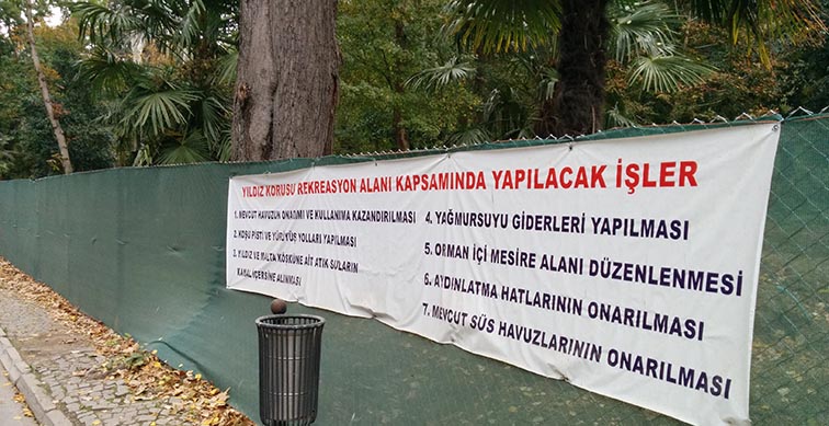 Yıldız Korusu 6